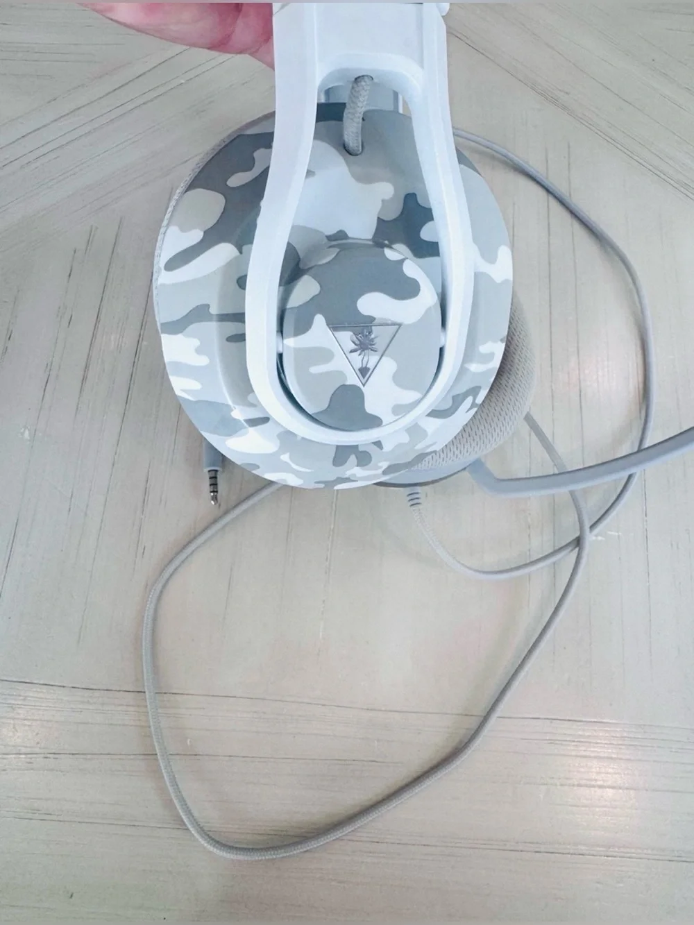 Turtle Beach turtle beach